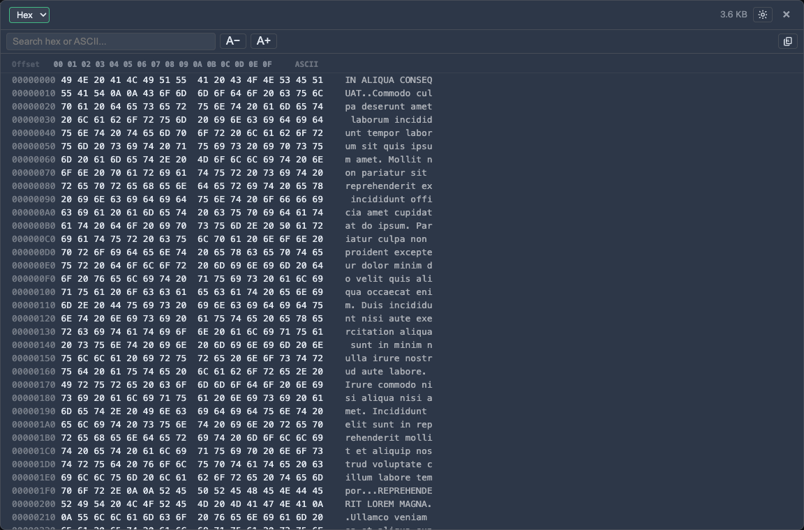 Hex viewer